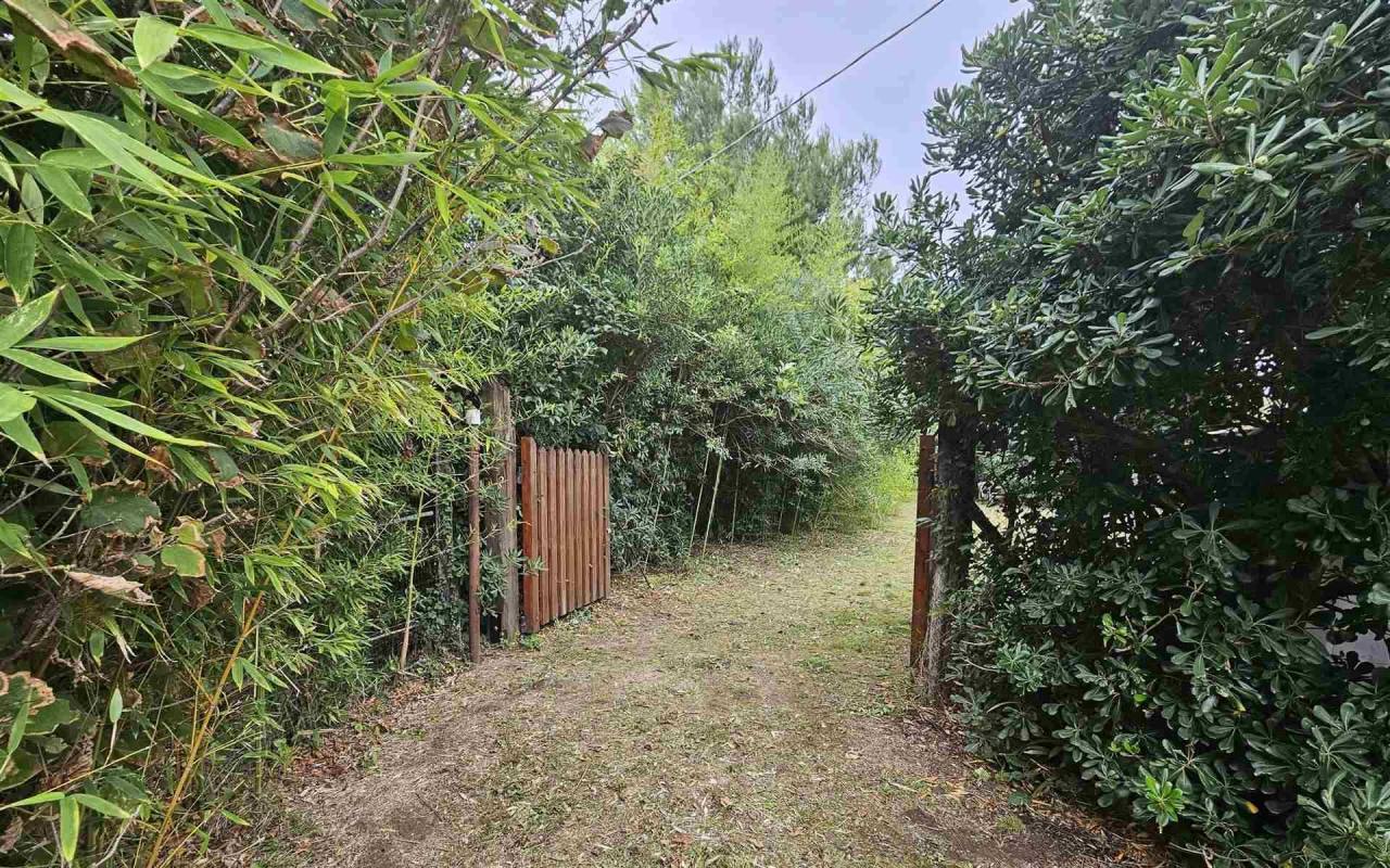Terreno o annesso agricolo in vendita a Baratti (LI) - rif. 212 vf