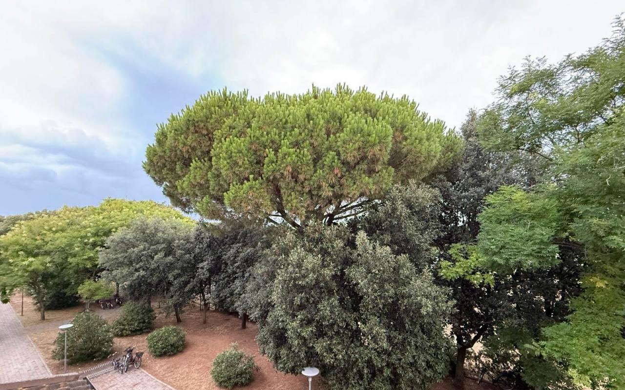Appartamento in vendita a San Vincenzo (LI) - rif. 171 pr