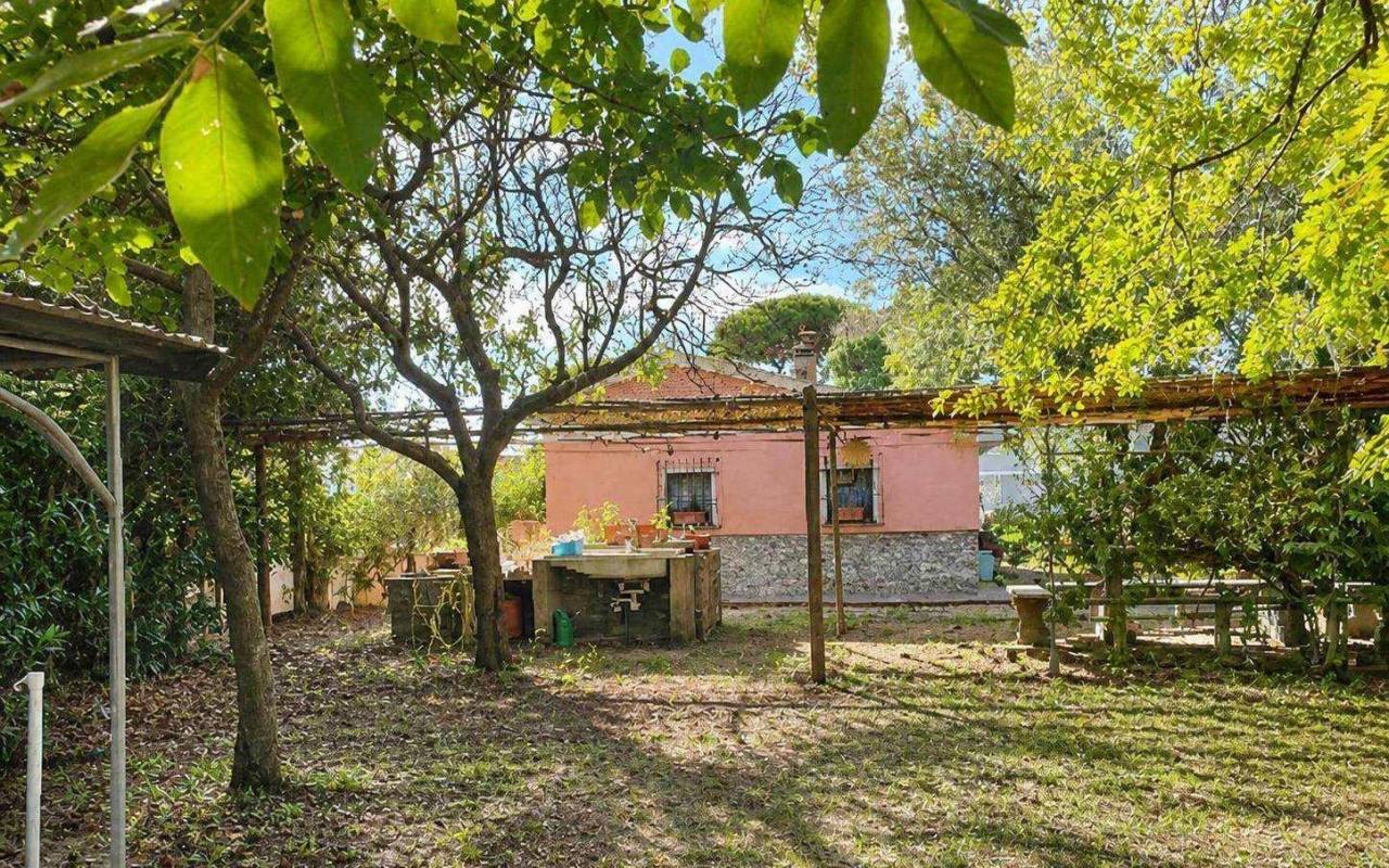 Terreno o annesso agricolo in vendita a Donoratico (LI) - rif. 61 csv